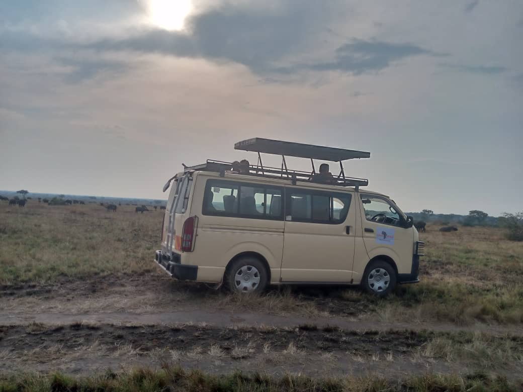 Toyota 4×4 safari minivans and minibuses for group safaris