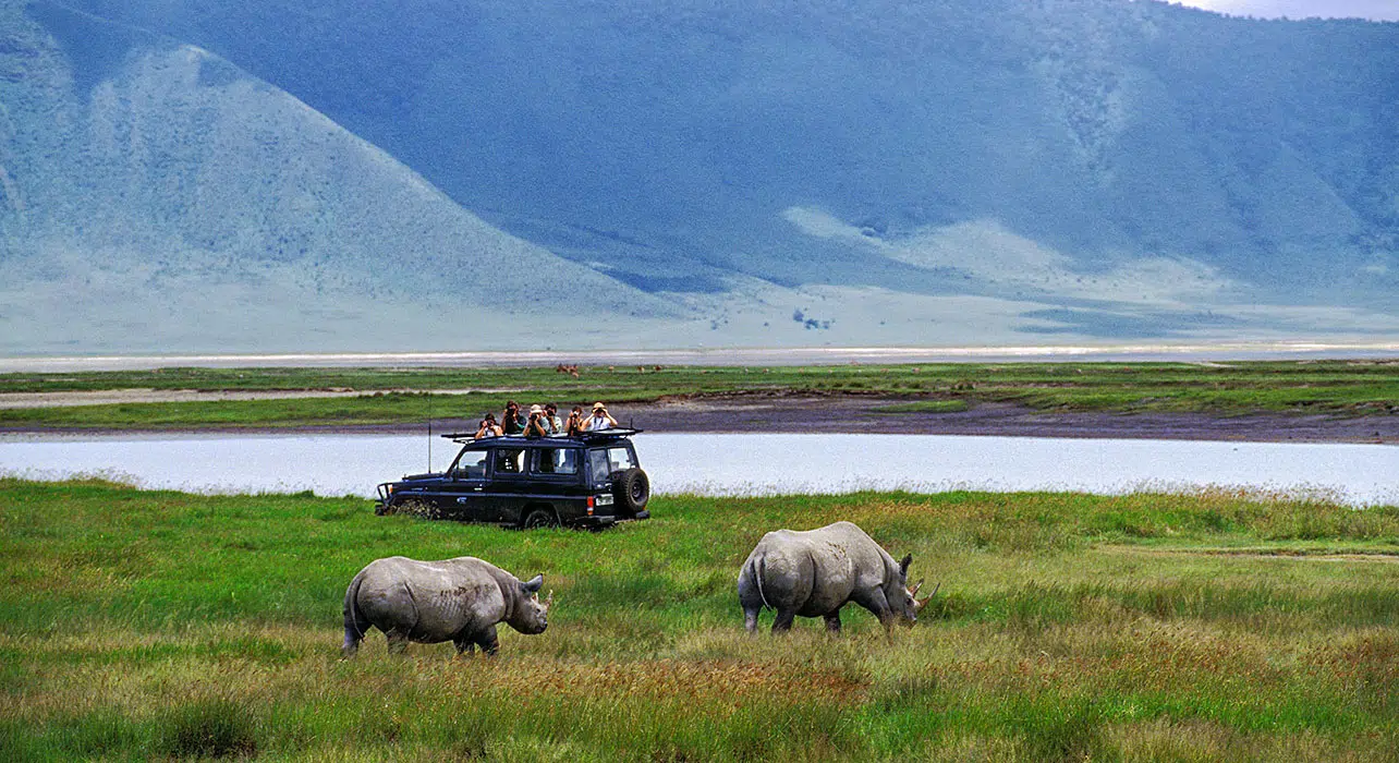 6 days safari in Tarangire, Serengeti, Ngorongoro Crater, and Lake Manyara National Park